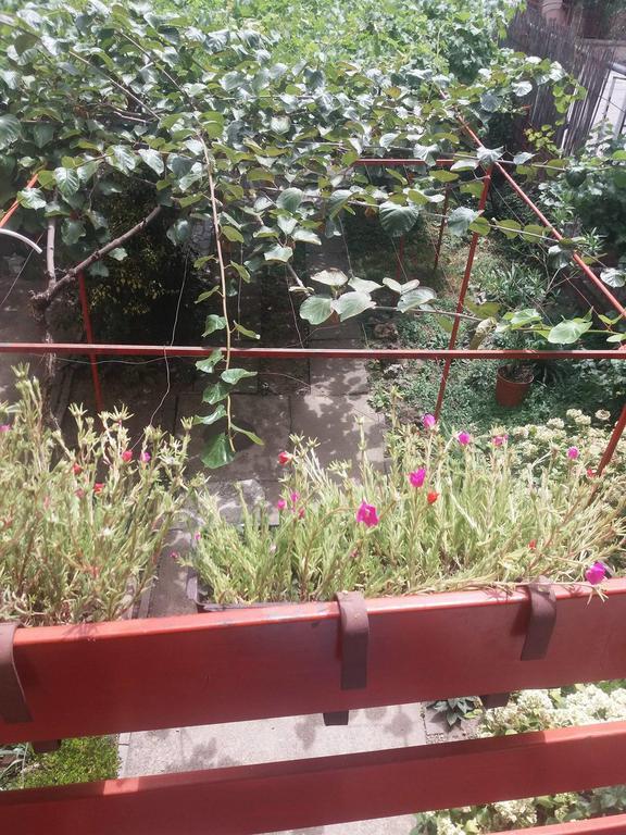Julija Guest House Ohrid Luaran gambar
